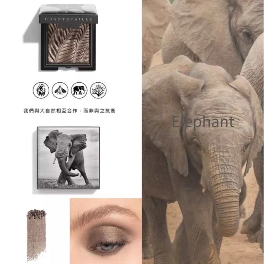 Chantecaille luminescent eyeshadow in elephant/ shimmering taupe grey NEW no box